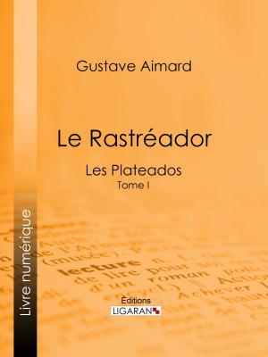 Book cover of Le Rastréador