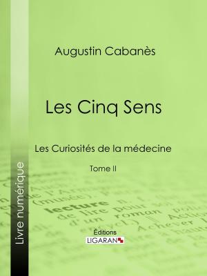 Cover of the book Les Cinq Sens by Alphonse Daudet, Ligaran