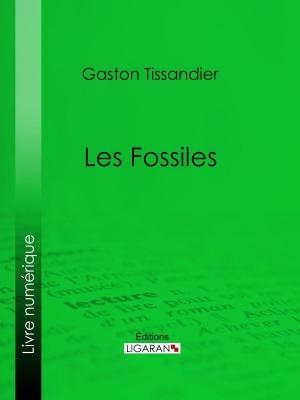 Cover of the book Les Fossiles by Léon Pervenquière, Ligaran