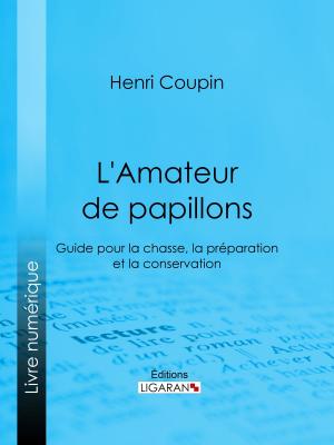 Book cover of L'Amateur de papillons