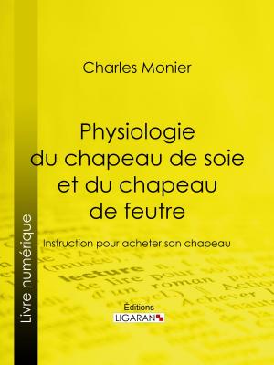 Cover of the book Physiologie du chapeau de soie et du chapeau de feutre by 國際亞洲出版股份有限公司