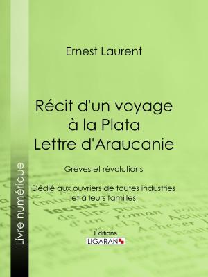 Cover of the book Récit d'un voyage à la Plata - Lettre d'Araucanie by Jean-Louis Dubut de Laforest, Ligaran