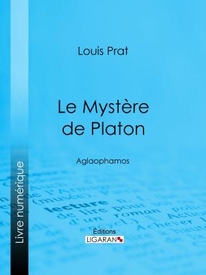 Cover of the book Le Mystère de Platon by Francisque Michel, Édouard Fournier, Ligaran