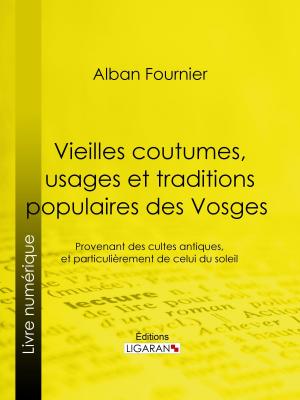 Cover of the book Vieilles coutumes, usages et traditions populaires des Vosges by Pierre-Jules Hetzel, Ligaran