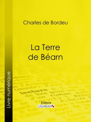 Cover of the book La Terre de Béarn by Joseph-Alexis vicomte Walsh, Ligaran
