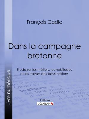 Cover of the book Dans la campagne bretonne by Patrick Kingsley