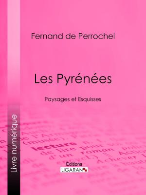 Cover of the book Les Pyrénées by Eugène Fromentin, Ligaran