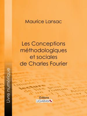 Cover of the book Les Conceptions méthodologiques et sociales de Charles Fourier by Shirley Hessel