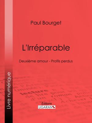 Cover of the book L'Irréparable by Mary Elizabeth Braddon