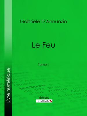 Book cover of Le Feu