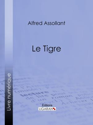 Cover of the book Le Tigre by John-Antoine Nau, Ligaran