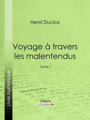 Cover of the book Voyage à travers les malentendus by Chéri Montigny, Ligaran