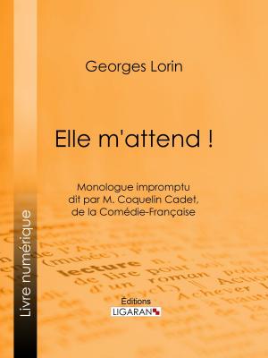 Cover of the book Elle m'attend ! by Sébastien-Roch Nicolas de Chamfort, Pierre René Auguis, Ligaran