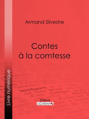 Cover of the book Contes à la comtesse by André-Robert Andréa de Nerciat, Guillaume Apollinaire, Ligaran