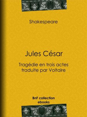 Cover of the book Jules César by Voltaire, Louis Moland