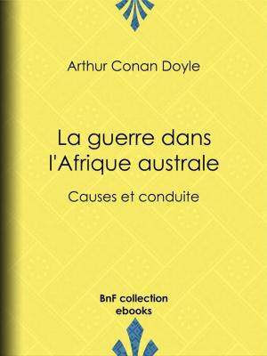 Cover of the book La Guerre dans l'Afrique australe by Albert Cim