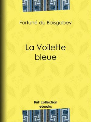 Cover of the book La Voilette bleue by Augustin Challamel