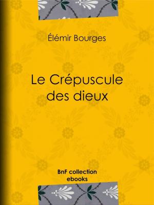 Cover of the book Le Crépuscule des dieux by Anonyme, Séraphin