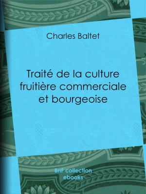 Cover of the book Traité de la culture fruitière commerciale et bourgeoise by Pierre-Jules Hetzel, Victor Hugo