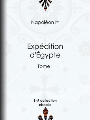 Cover of the book Expédition d'Égypte by François Mons