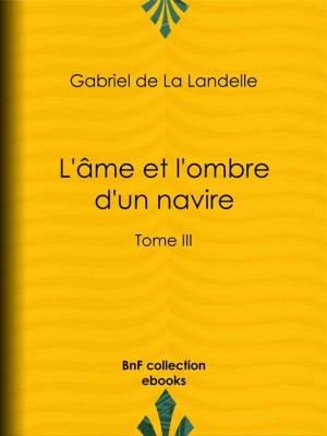Cover of the book L'Âme et l'Ombre d'un navire by Voltaire, Louis Moland
