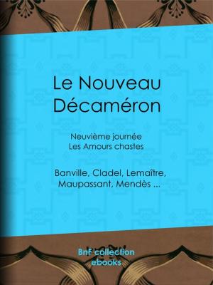 Cover of the book Le Nouveau Décaméron by Victor Cousin