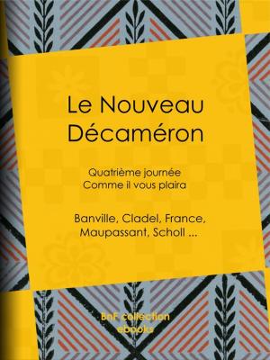 Cover of the book Le Nouveau Décaméron by Guy de Maupassant