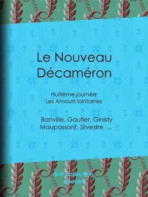 Cover of the book Le Nouveau Décaméron by Voltaire, Louis Moland