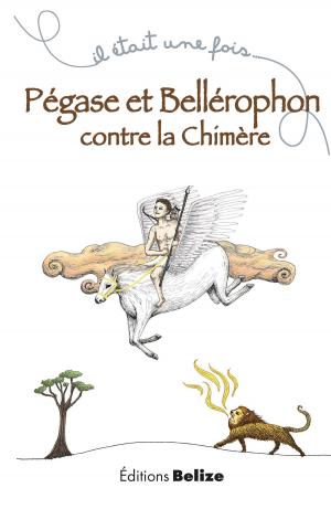 Cover of Pégase et Bellérophon contre la chimère