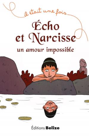 Cover of Écho et Narcisse, un amour impossible