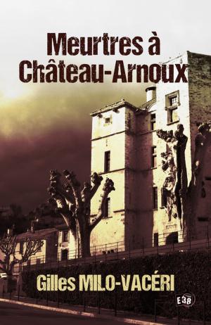 Cover of the book Meurtres à Château-Arnoux by Christine Machureau