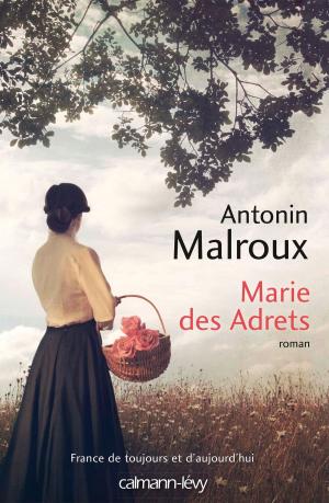 Book cover of Marie des Adrets