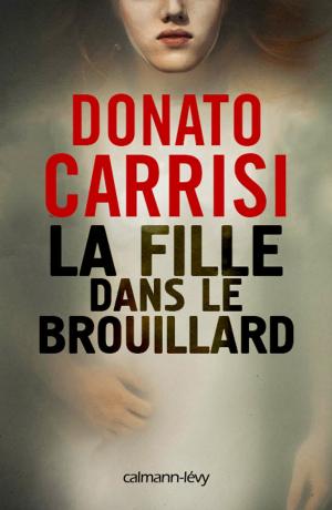 Cover of the book La Fille dans le brouillard by M.P. Anderfeldt