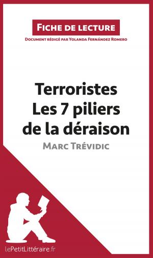 Cover of the book Terroristes. Les 7 piliers de la déraison de Marc Trévidic (Fiche de lecture) by Fabienne Gheysens, lePetitLittéraire
