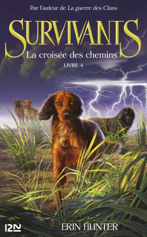 Cover of the book Les survivants, tome 4 : La croisée des chemins by Elena KEDROS