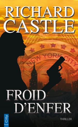 Cover of the book Froid d'enfer by Carrie Jones