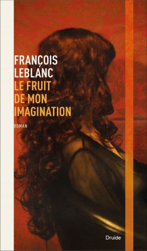 Cover of the book Le fruit de mon imagination by Claire Bergeron