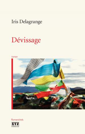 Cover of the book Dévissage by Jérôme Minière