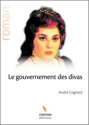 bigCover of the book Le gouvernement des divas by 