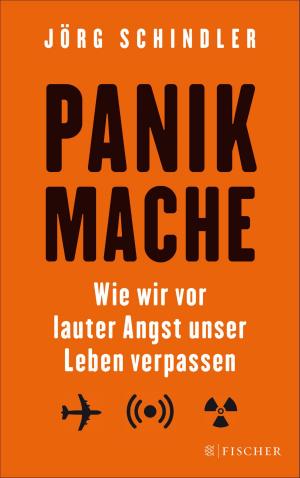 Cover of the book Panikmache by Léon Werth, Peter Stamm