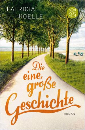 Book cover of Die eine, große Geschichte