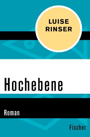 Cover of the book Hochebene by Klaus-Peter Wolf
