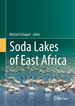 Cover of the book Soda Lakes of East Africa by Nathan Sivin