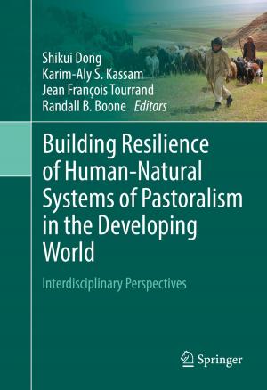 Cover of the book Building Resilience of Human-Natural Systems of Pastoralism in the Developing World by Markus Lehner, Robert Tichler, Horst Steinmüller, Markus Koppe