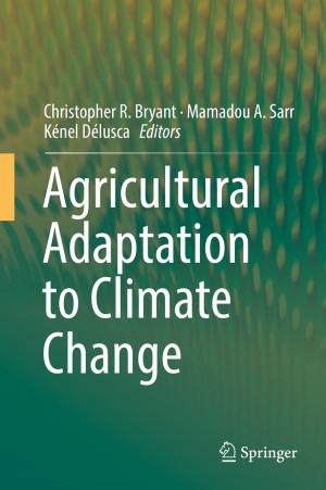 Cover of the book Agricultural Adaptation to Climate Change by Gianluigi Negro