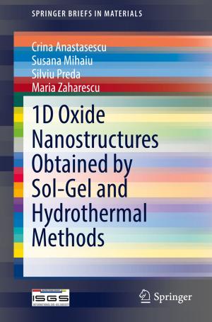 Cover of the book 1D Oxide Nanostructures Obtained by Sol-Gel and Hydrothermal Methods by Adriana Calvelli, Chiara Cannavale