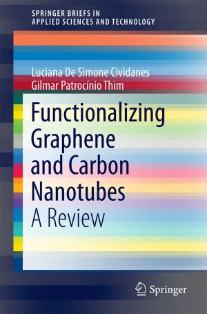 Cover of the book Functionalizing Graphene and Carbon Nanotubes by Shanmuganathan Rajasekar, Miguel A. F. Sanjuan