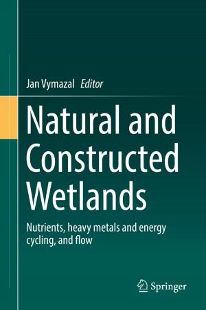 Cover of the book Natural and Constructed Wetlands by Błażej Lewcio
