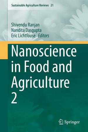 Cover of the book Nanoscience in Food and Agriculture 2 by Ariel Fernández Stigliano