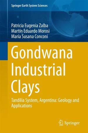 Cover of the book Gondwana Industrial Clays by 